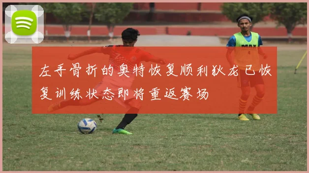 左手骨折的奥特恢复顺利狄龙已恢复训练状态即将重返赛场