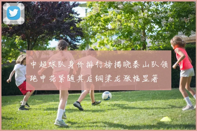 中超球队身价排行榜揭晓泰山队领跑申花紧随其后铜梁龙涨幅显著