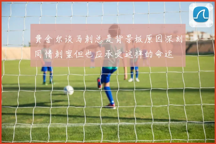 费舍尔谈马刺总是背景板原因深刻同情刺蜜但也应承受这样的命运